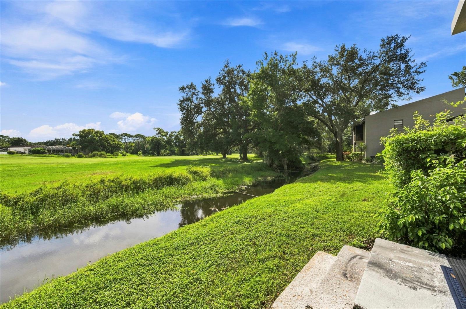 1000 TARPON WOODS BOULEVARD, #302, Palm Harbor, FL 34685