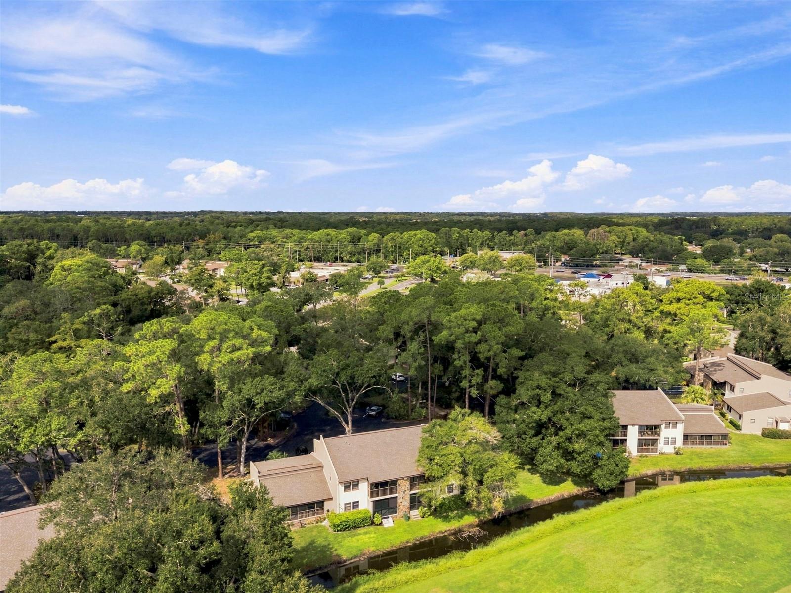 1000 TARPON WOODS BOULEVARD, #302, Palm Harbor, FL 34685