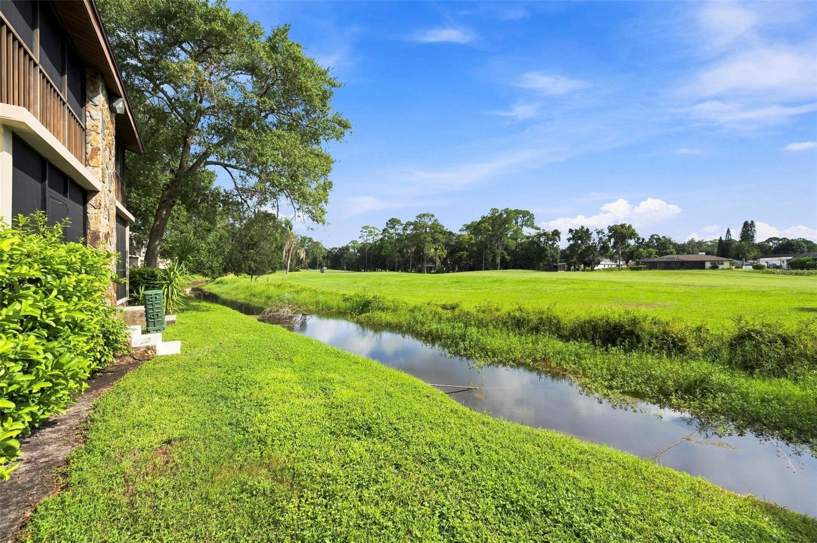 1000 TARPON WOODS BOULEVARD, #302, Palm Harbor, FL 34685