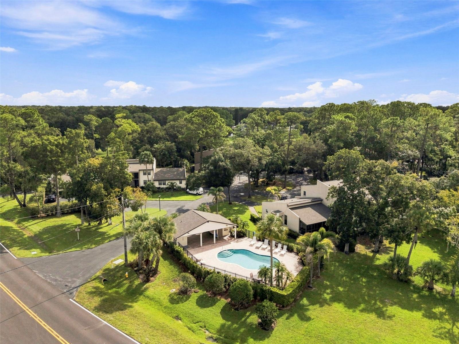1000 TARPON WOODS BOULEVARD, #302, Palm Harbor, FL 34685