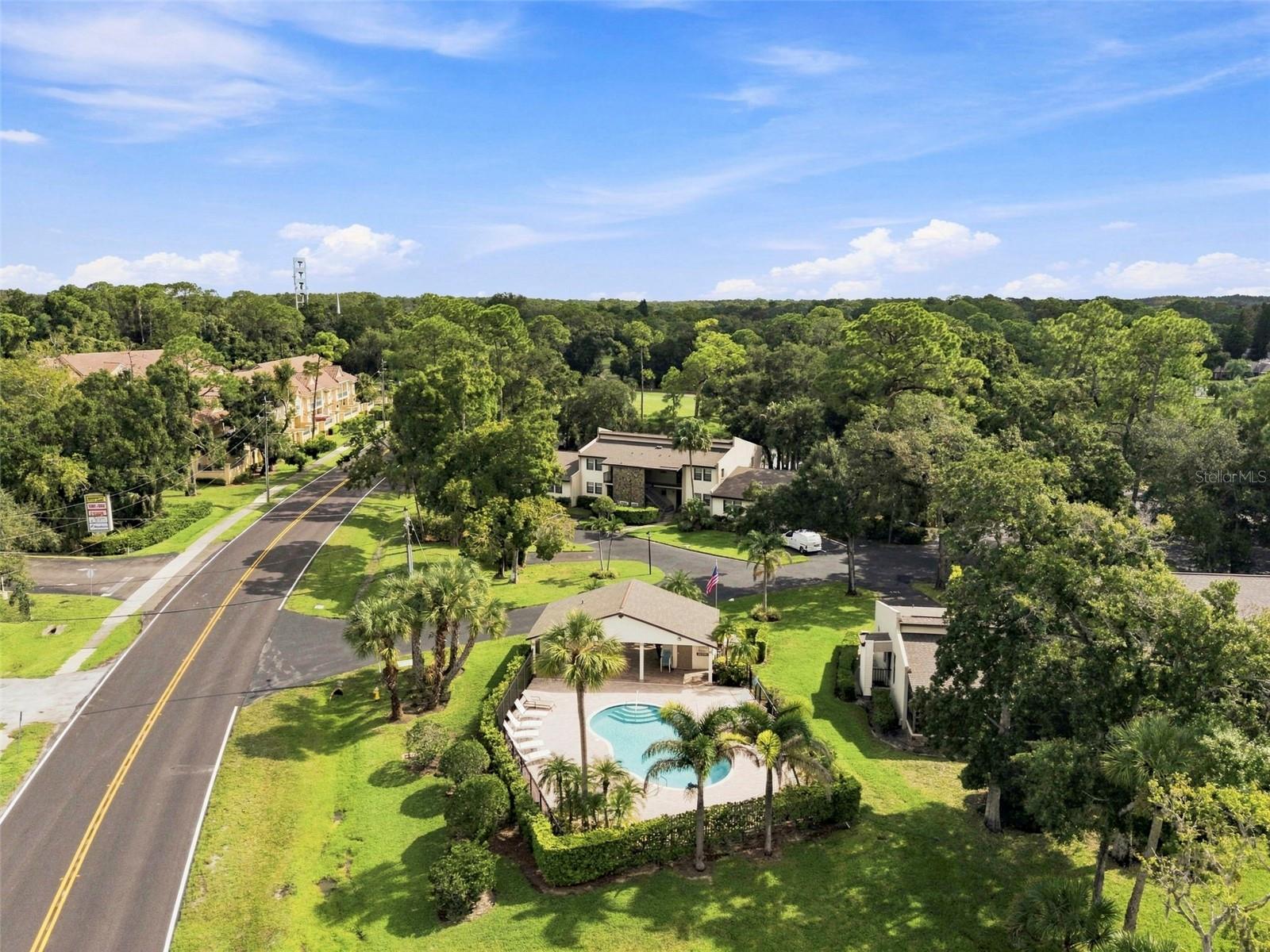 1000 TARPON WOODS BOULEVARD, #302, Palm Harbor, FL 34685