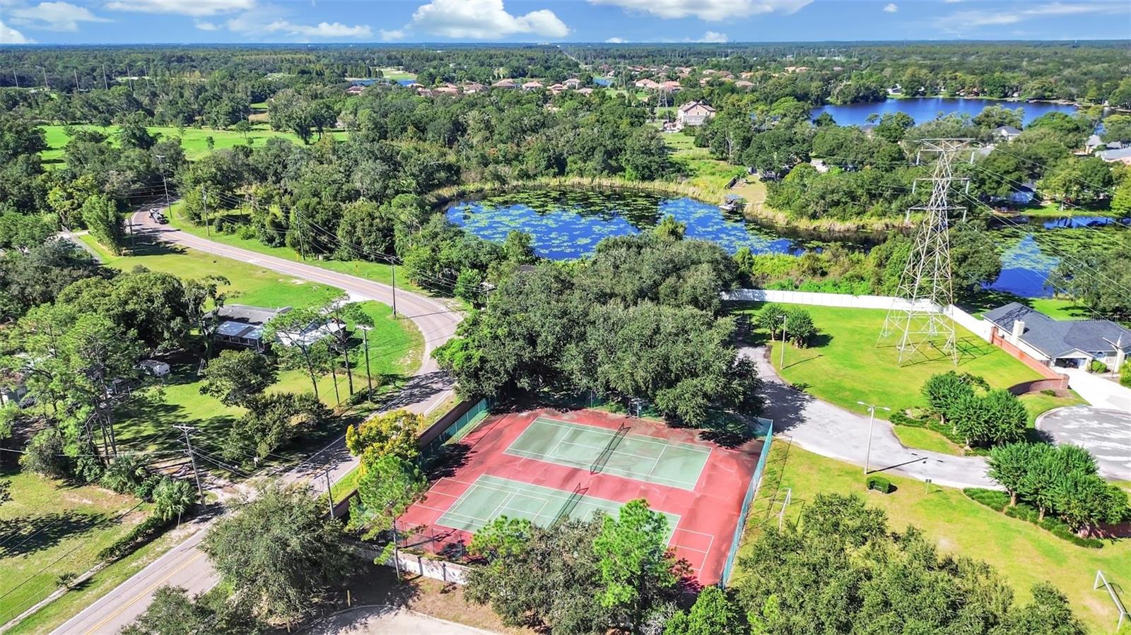 15001 MEADOWLAKE STREET, Odessa, FL 33556