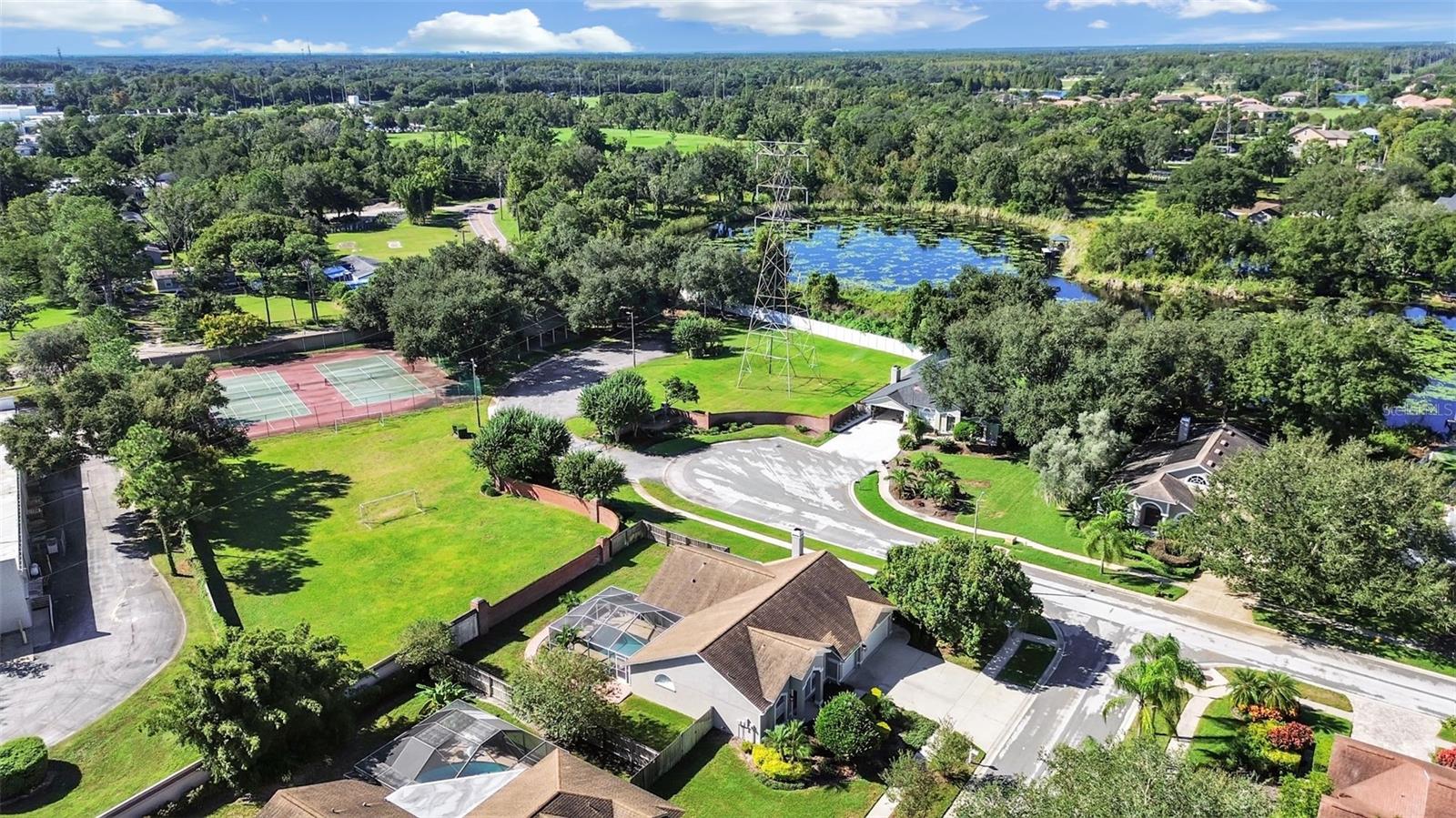 15001 MEADOWLAKE STREET, Odessa, FL 33556