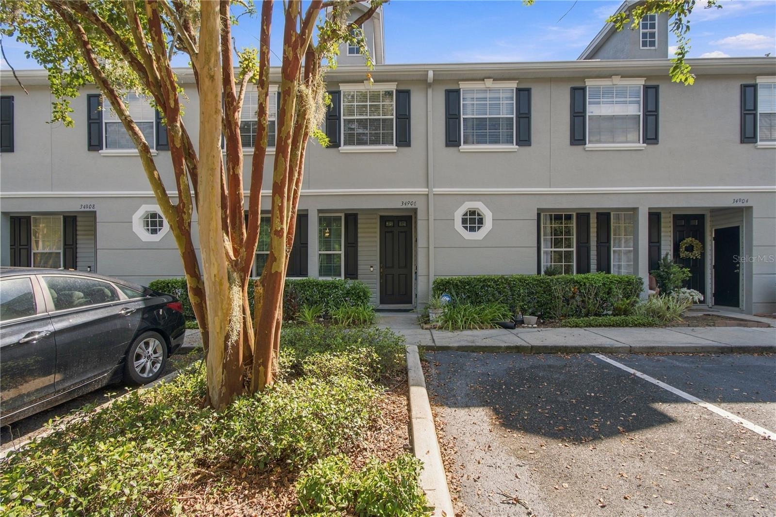 34906 TEEVIEW LANE, Zephyrhills, FL 33541 34906 TEEVIEW LANE, Zephyrhills, FL 33541