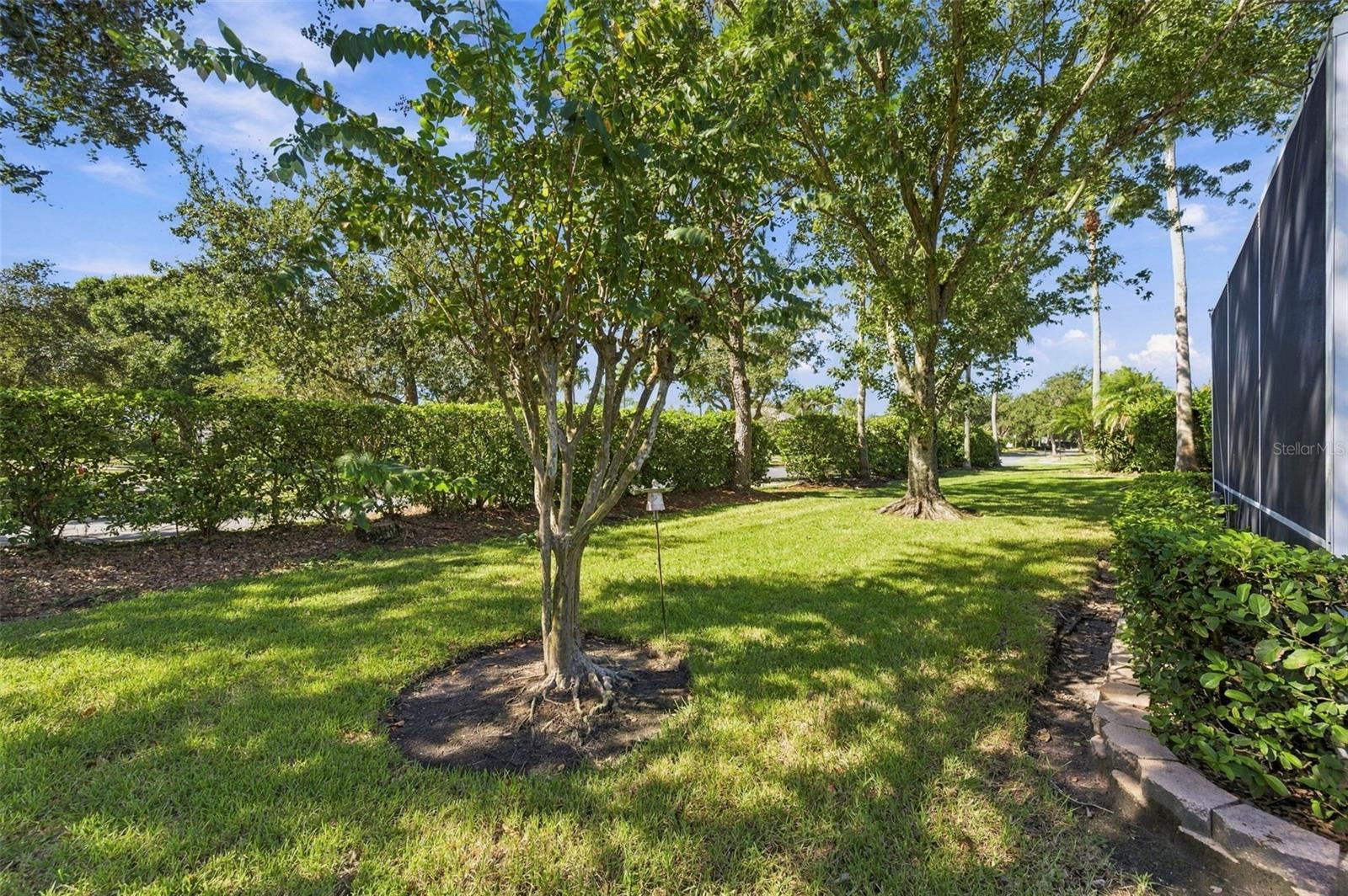 23442 VISTAMAR COURT, Land O Lakes, FL 34639