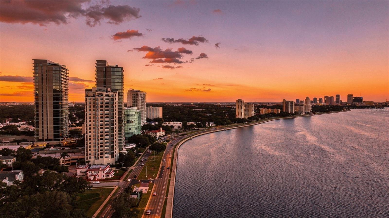 3101 BAYSHORE BOULEVARD, #1503, Tampa, FL 33629