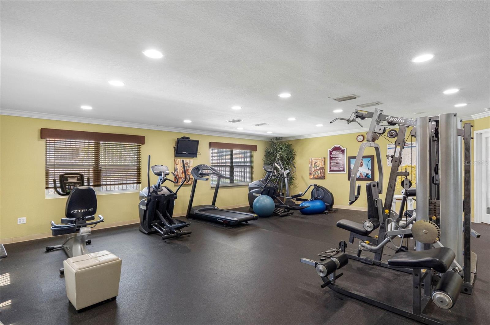 7210 N MANHATTAN AVENUE, #1813, Tampa, FL 33614