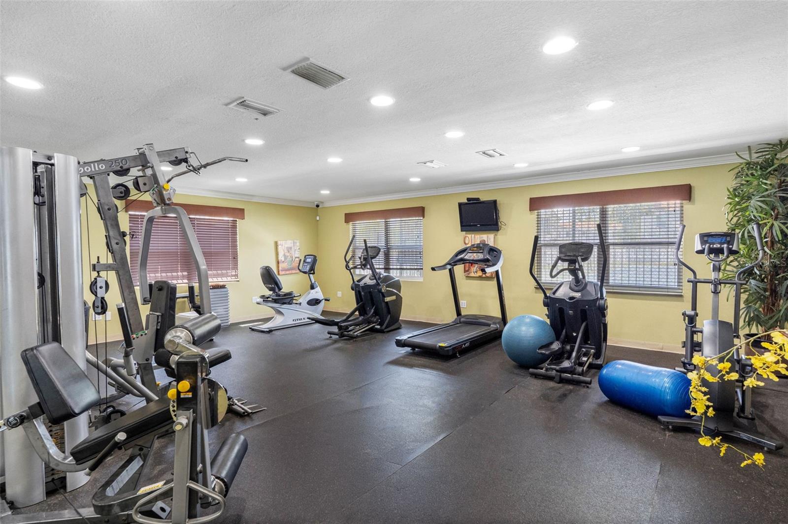 7210 N MANHATTAN AVENUE, #1813, Tampa, FL 33614