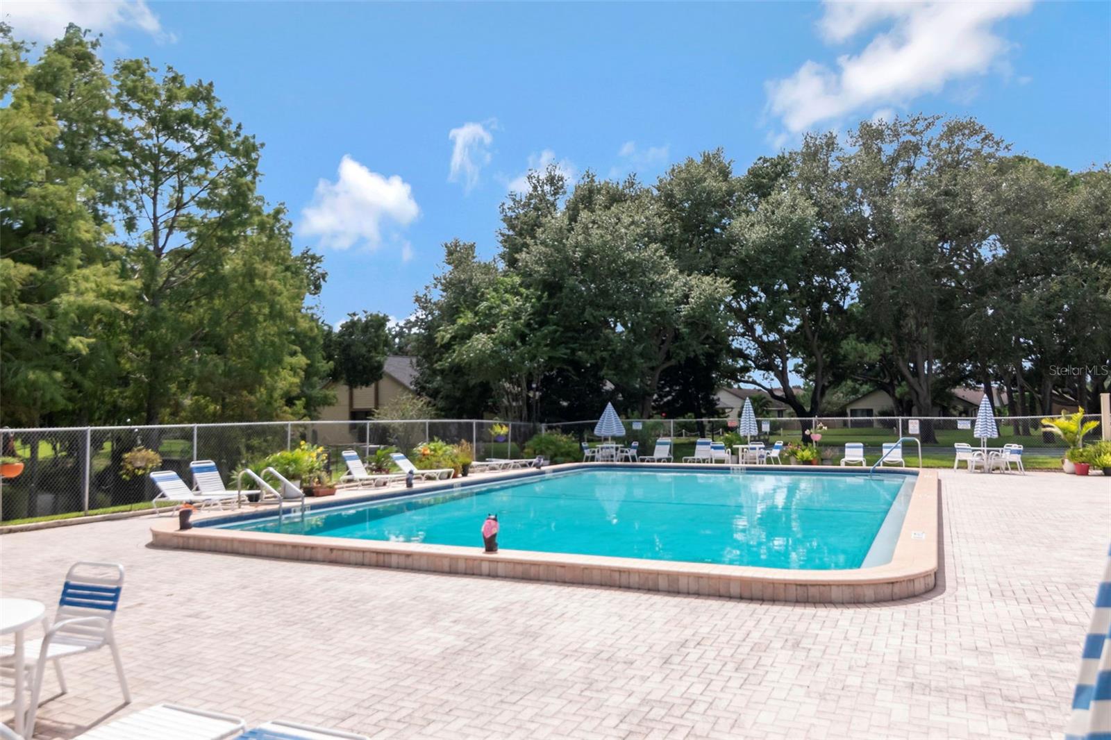 2569 LAURELWOOD DRIVE, #11B, Clearwater, FL 33763