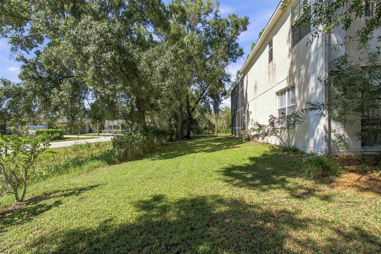 Side Yard