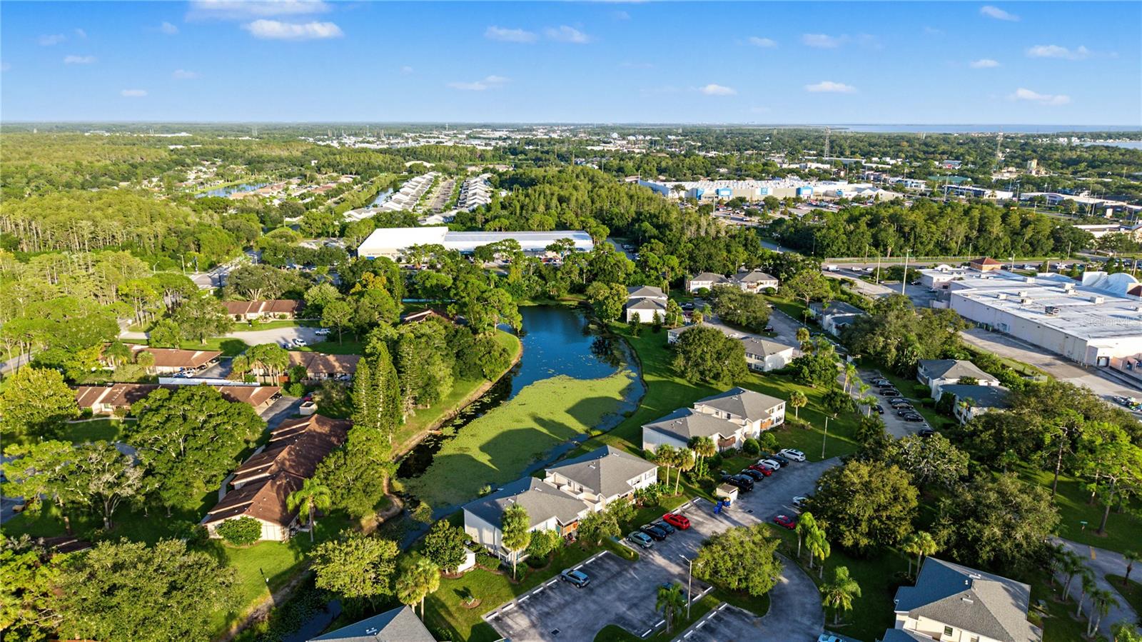 127 CAMPHOR DRIVE, #E, Oldsmar, FL 34677