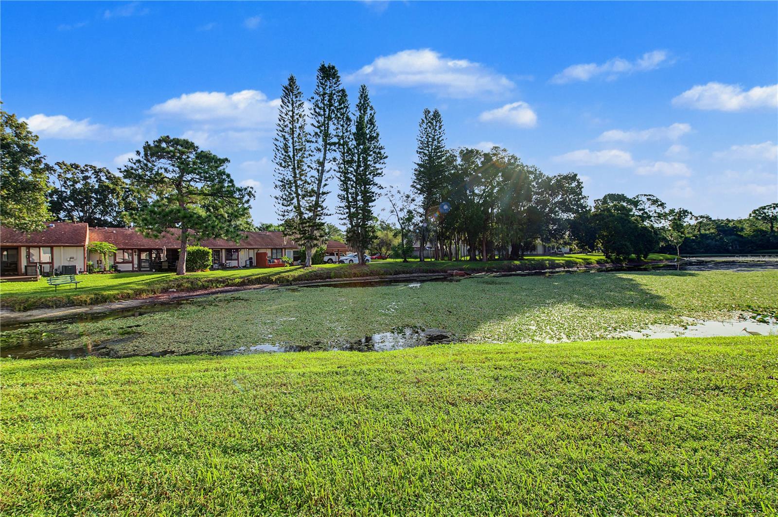 127 CAMPHOR DRIVE, #E, Oldsmar, FL 34677