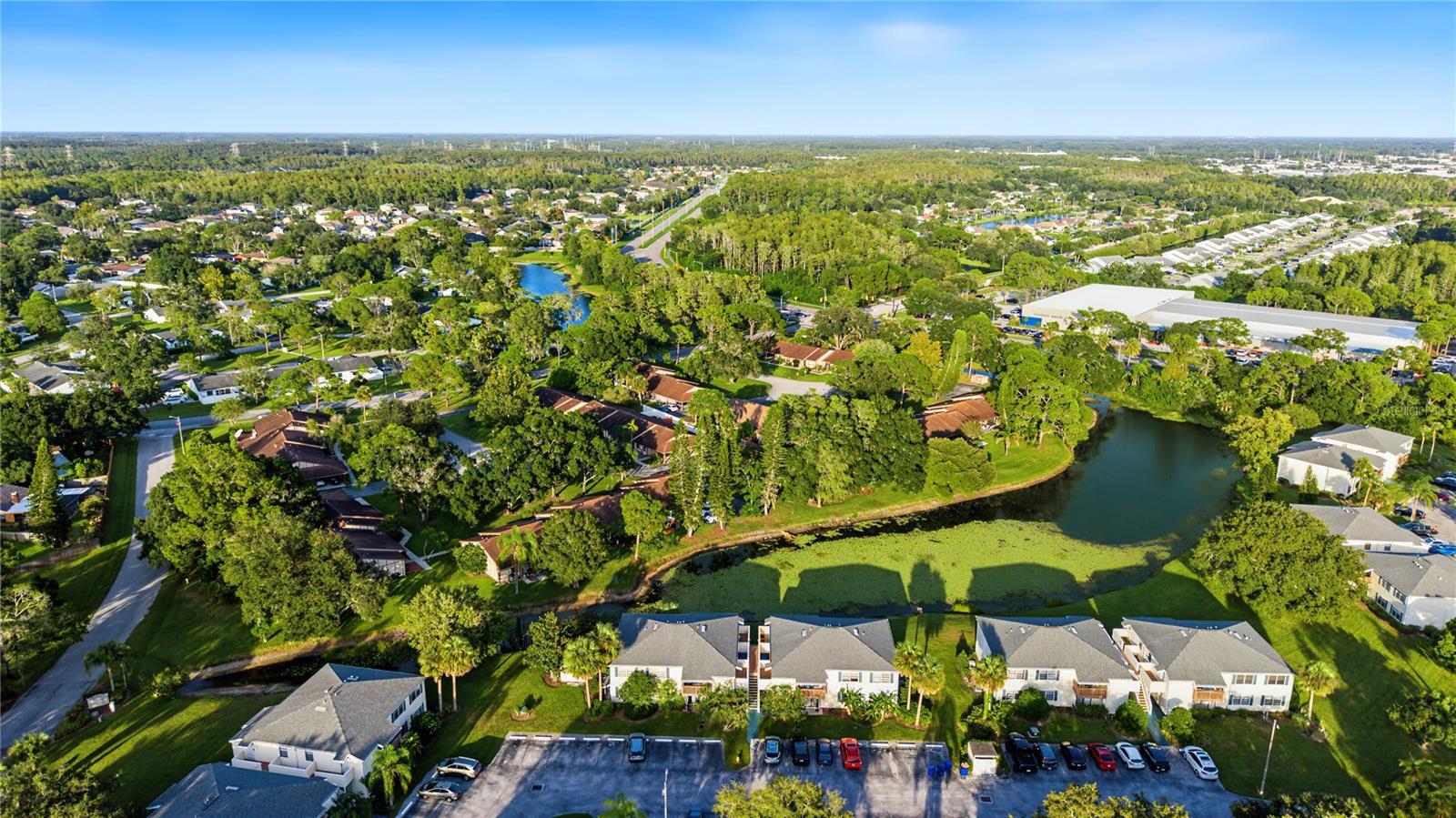 127 CAMPHOR DRIVE, #E, Oldsmar, FL 34677