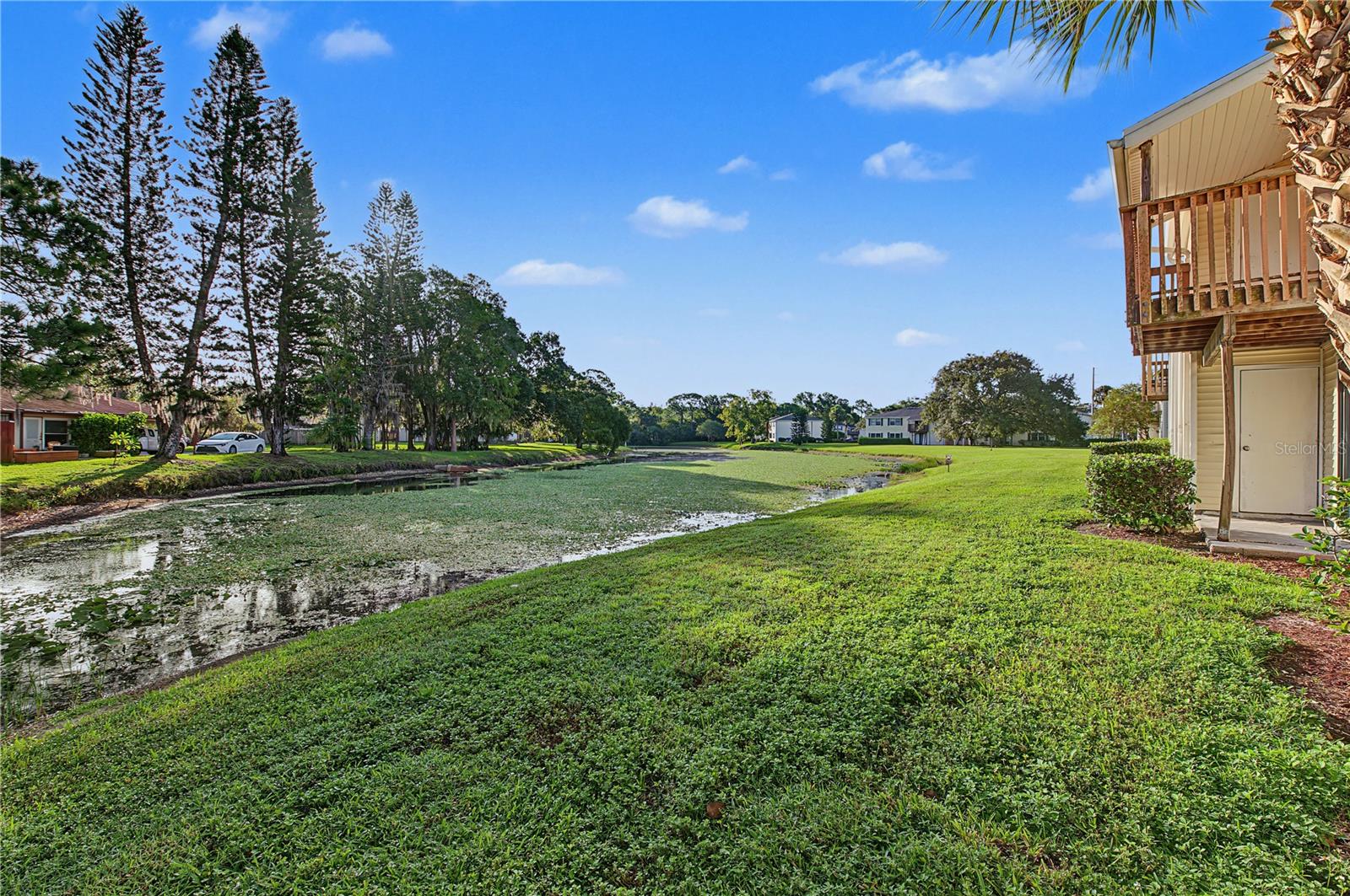 127 CAMPHOR DRIVE, #E, Oldsmar, FL 34677