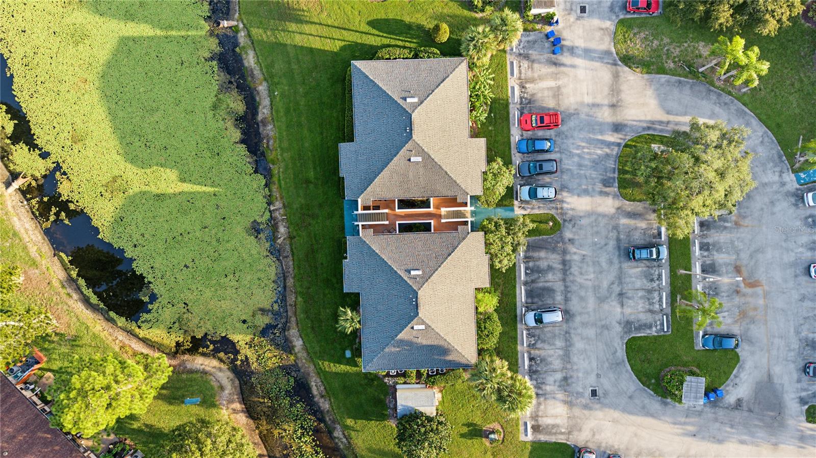 127 CAMPHOR DRIVE, #E, Oldsmar, FL 34677