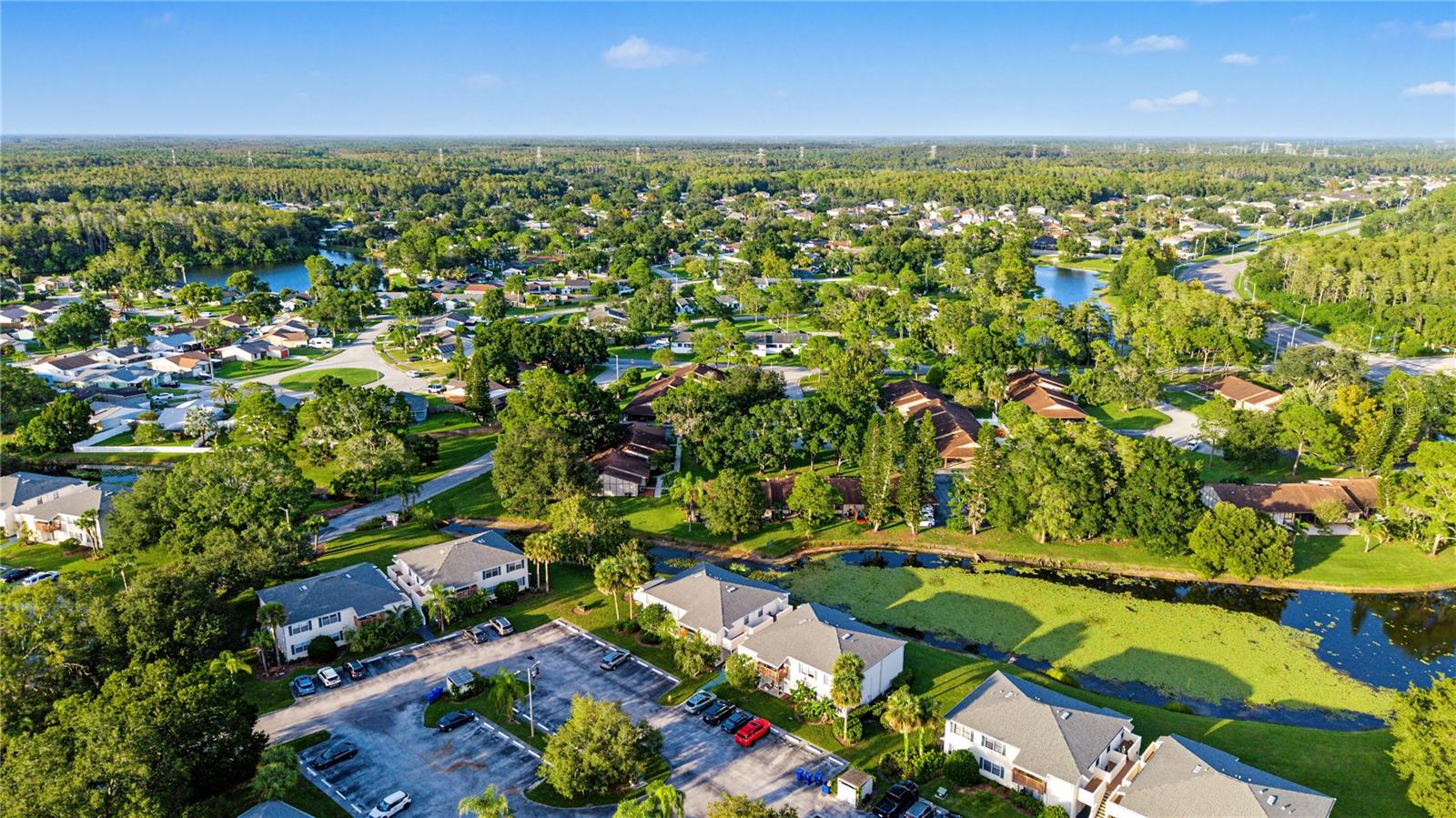 127 CAMPHOR DRIVE, #E, Oldsmar, FL 34677