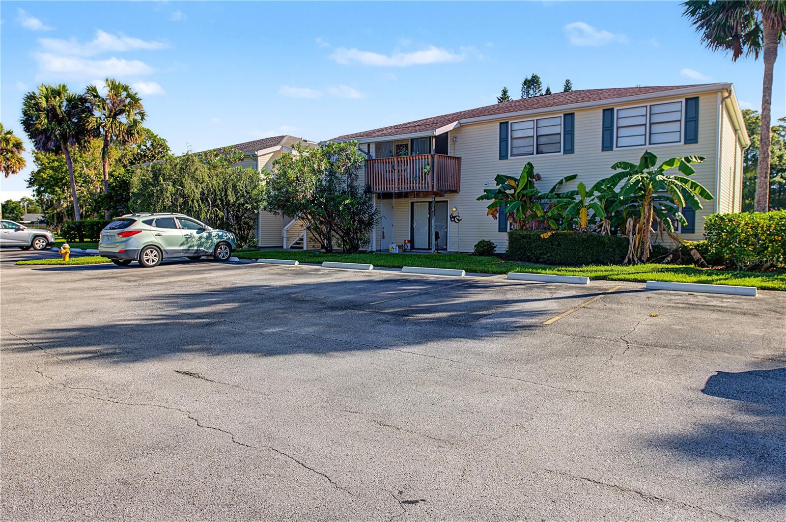 127 CAMPHOR DRIVE, #E, Oldsmar, FL 34677