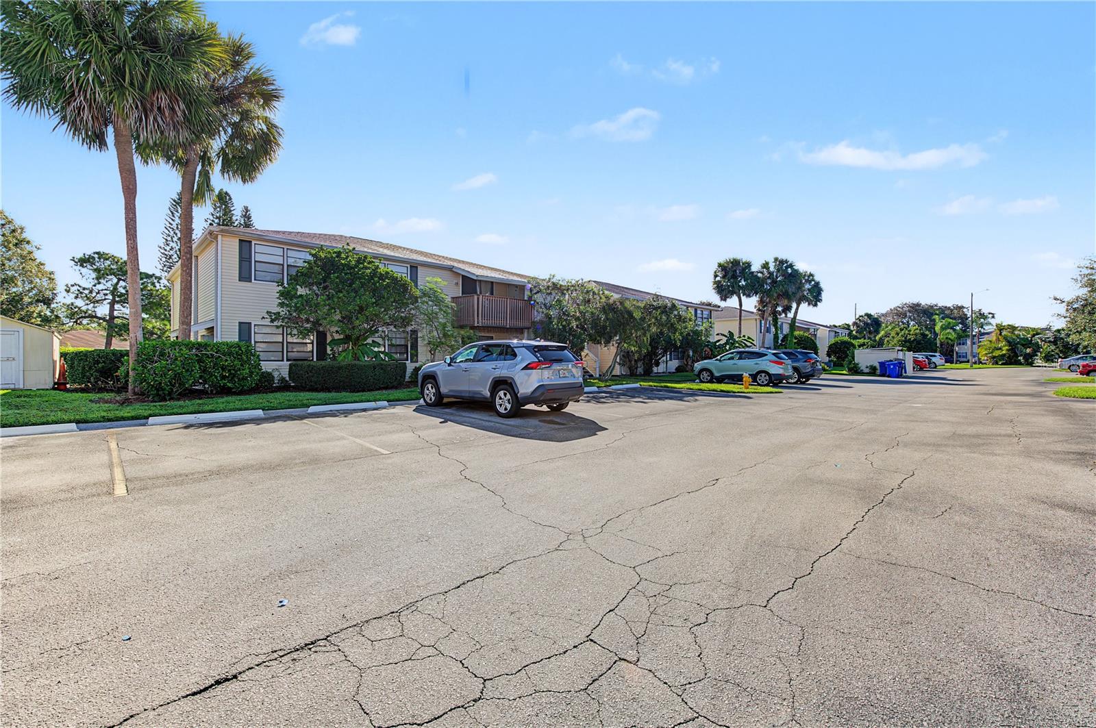 127 CAMPHOR DRIVE, #E, Oldsmar, FL 34677