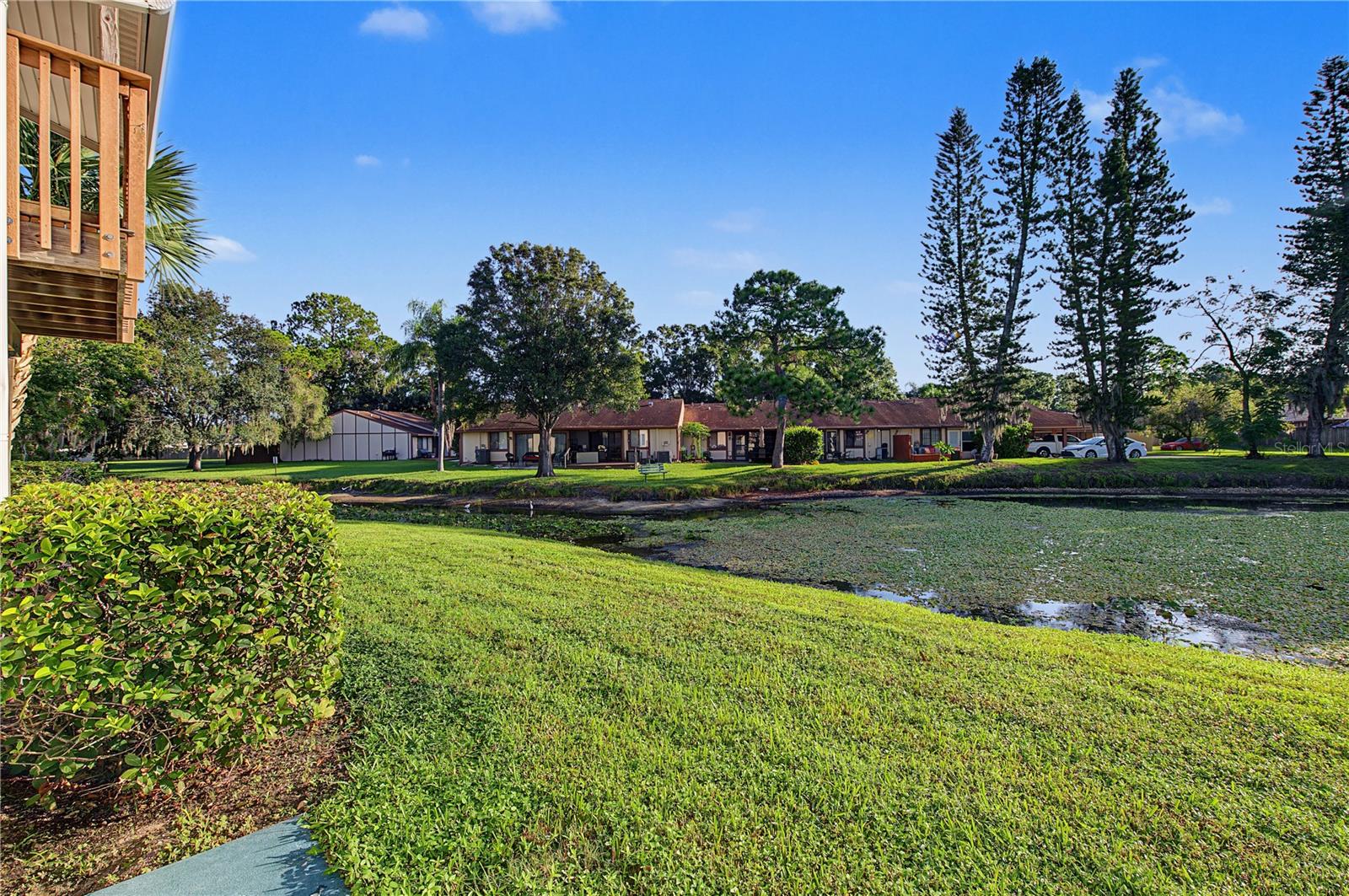 127 CAMPHOR DRIVE, #E, Oldsmar, FL 34677