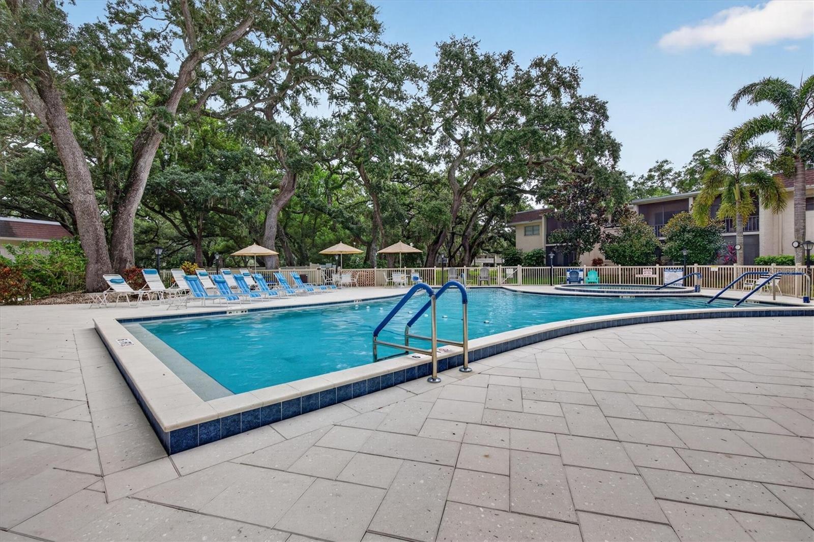 820 VIRGINIA STREET, #104, Dunedin, FL 34698