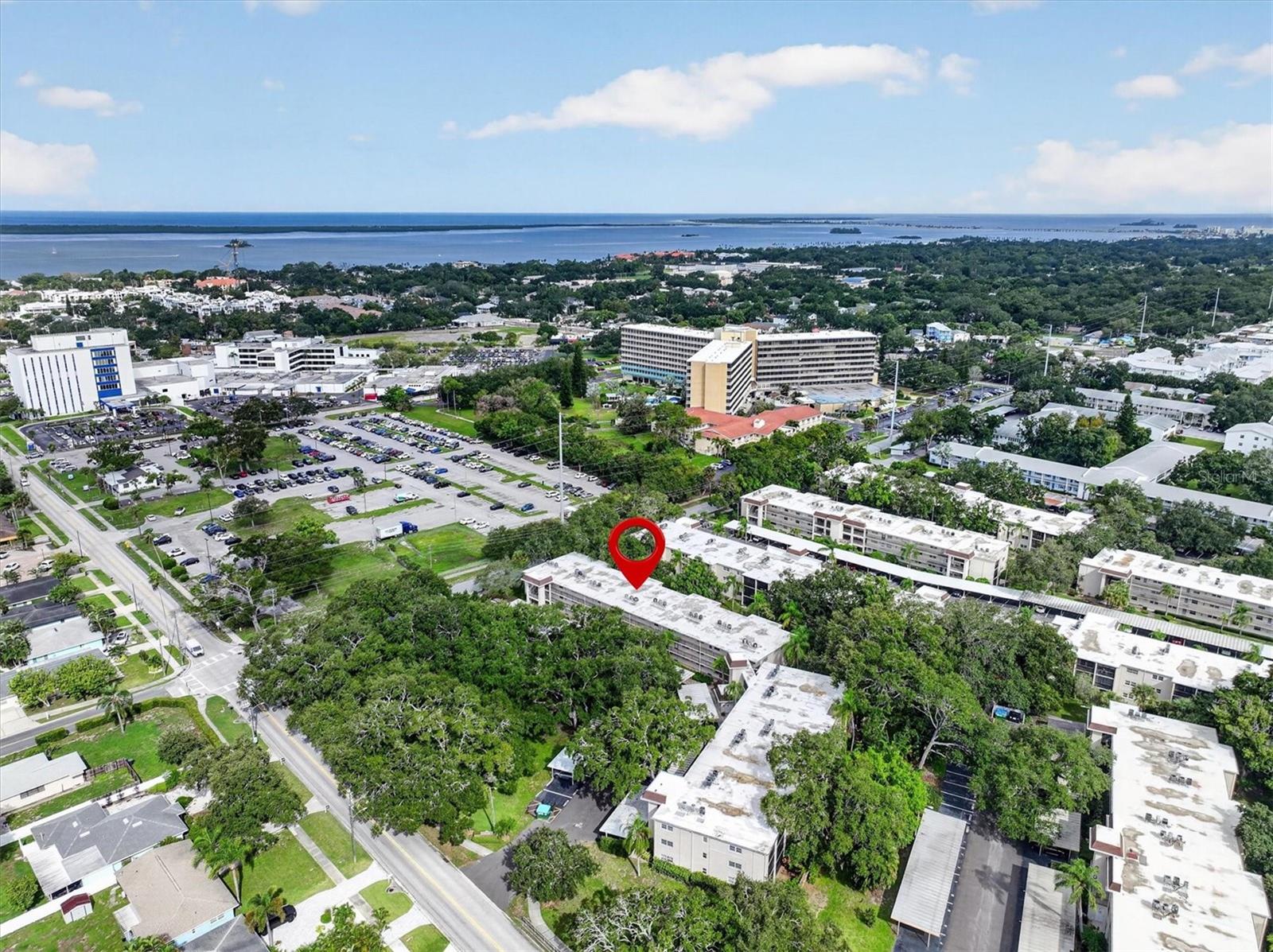 Walk 3 blocks to downtown Dunedin and waterfront. Walk 3 blocks to downtown Dunedin and waterfront.