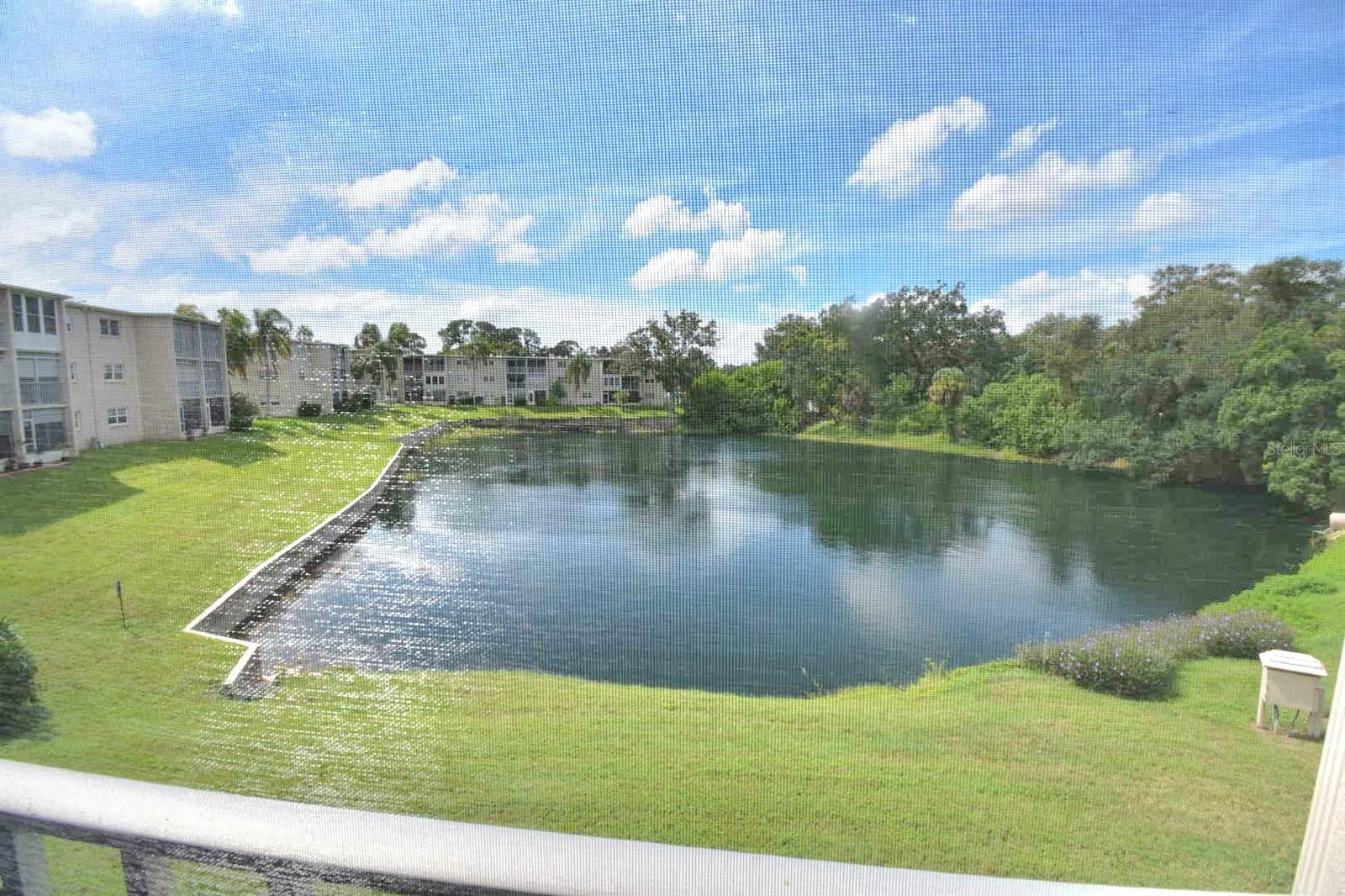 948 VIRGINIA STREET, #210, Dunedin, FL 34698
