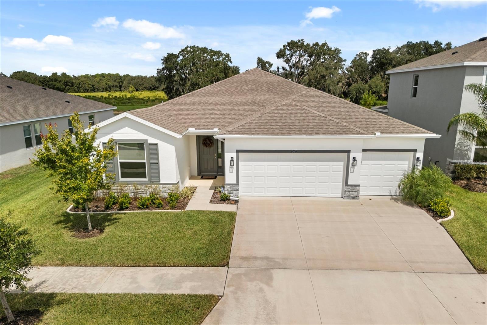 6016 WANDERING WILLOW DRIVE, Wesley Chapel, FL 33545