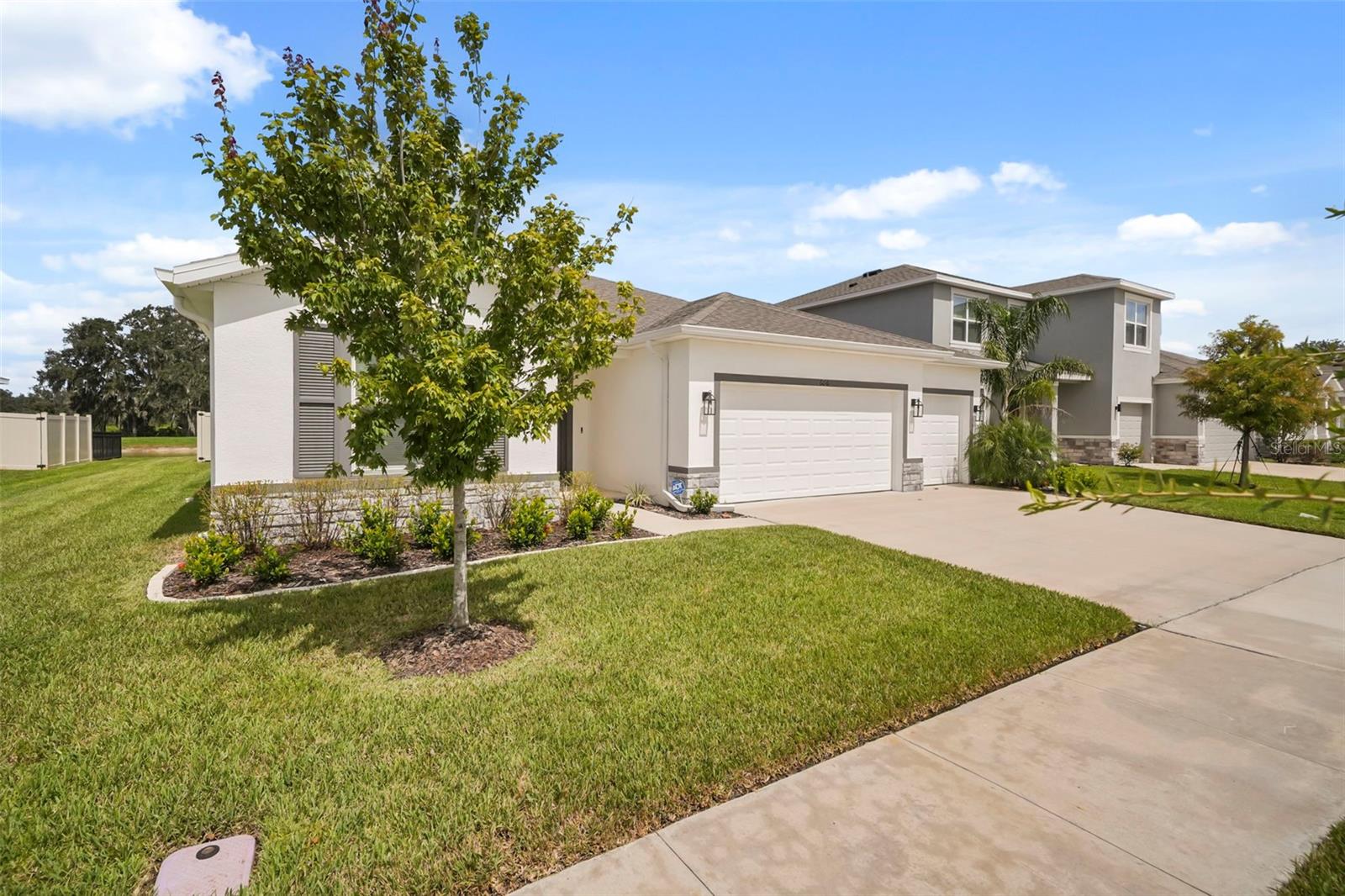 6016 WANDERING WILLOW DRIVE, Wesley Chapel, FL 33545