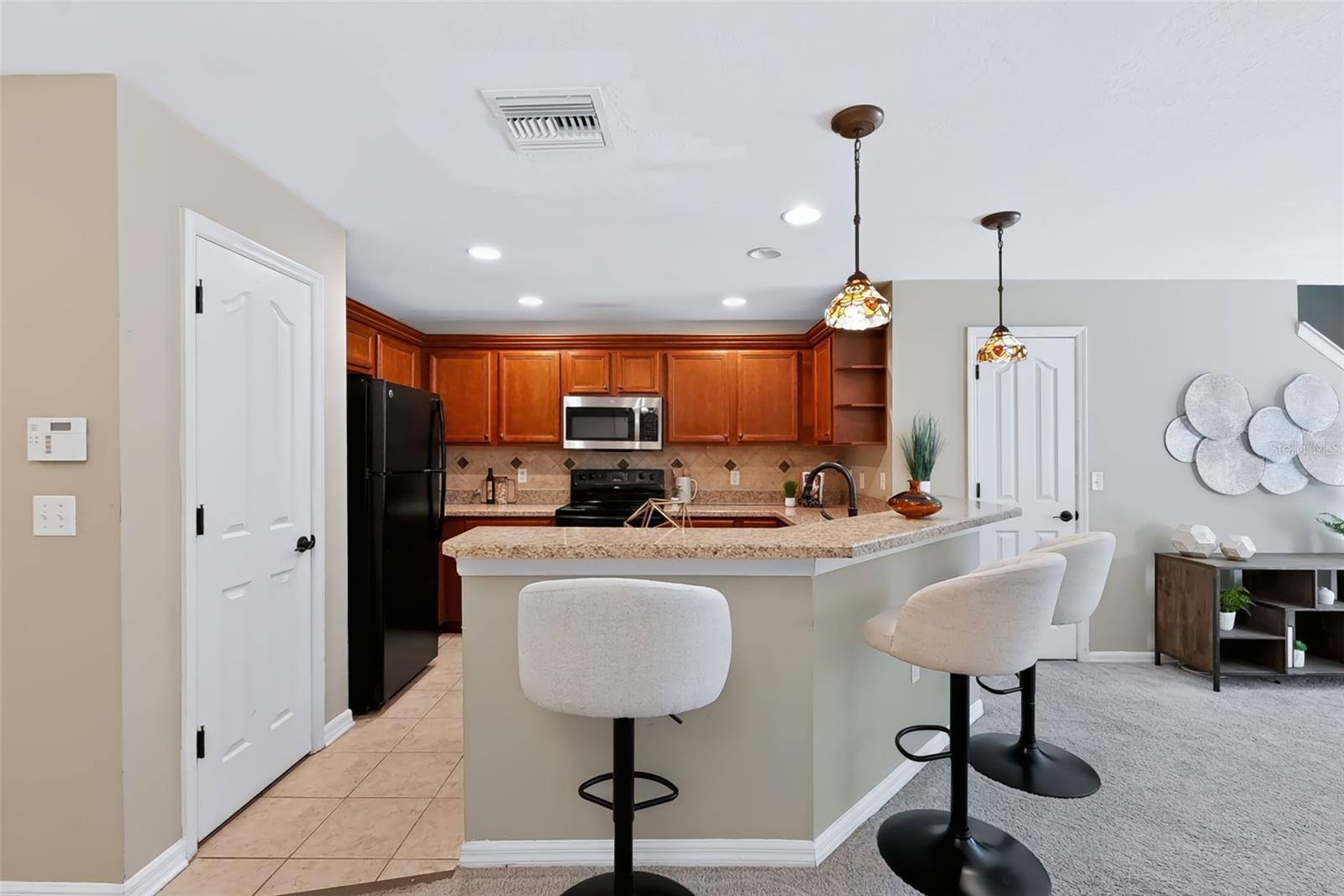 4525 LIMERICK DRIVE, Tampa, FL 33610