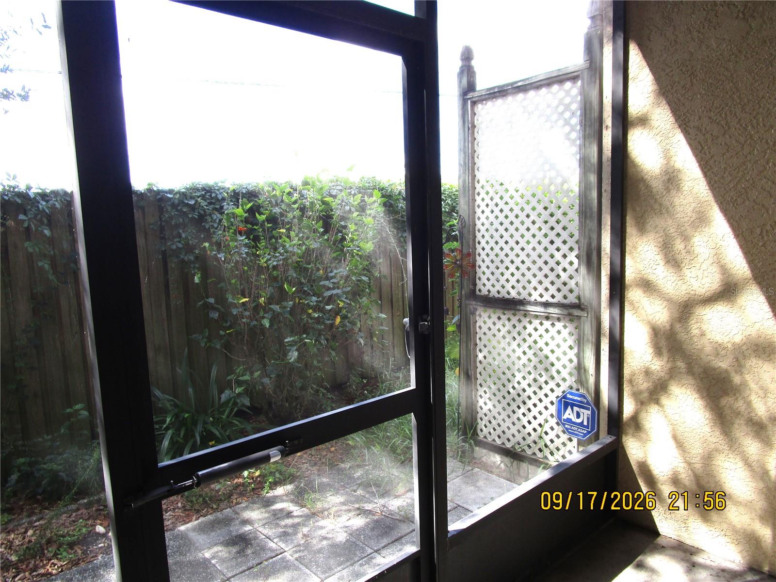Backyard