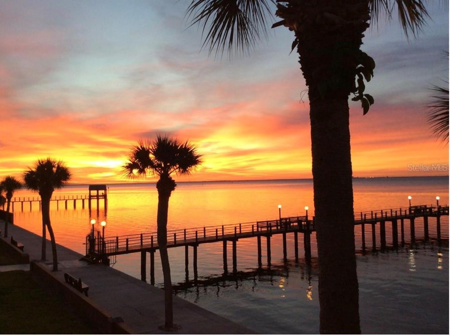 650 PINELLAS POINT DRIVE S, #240, St Petersburg, FL 33705