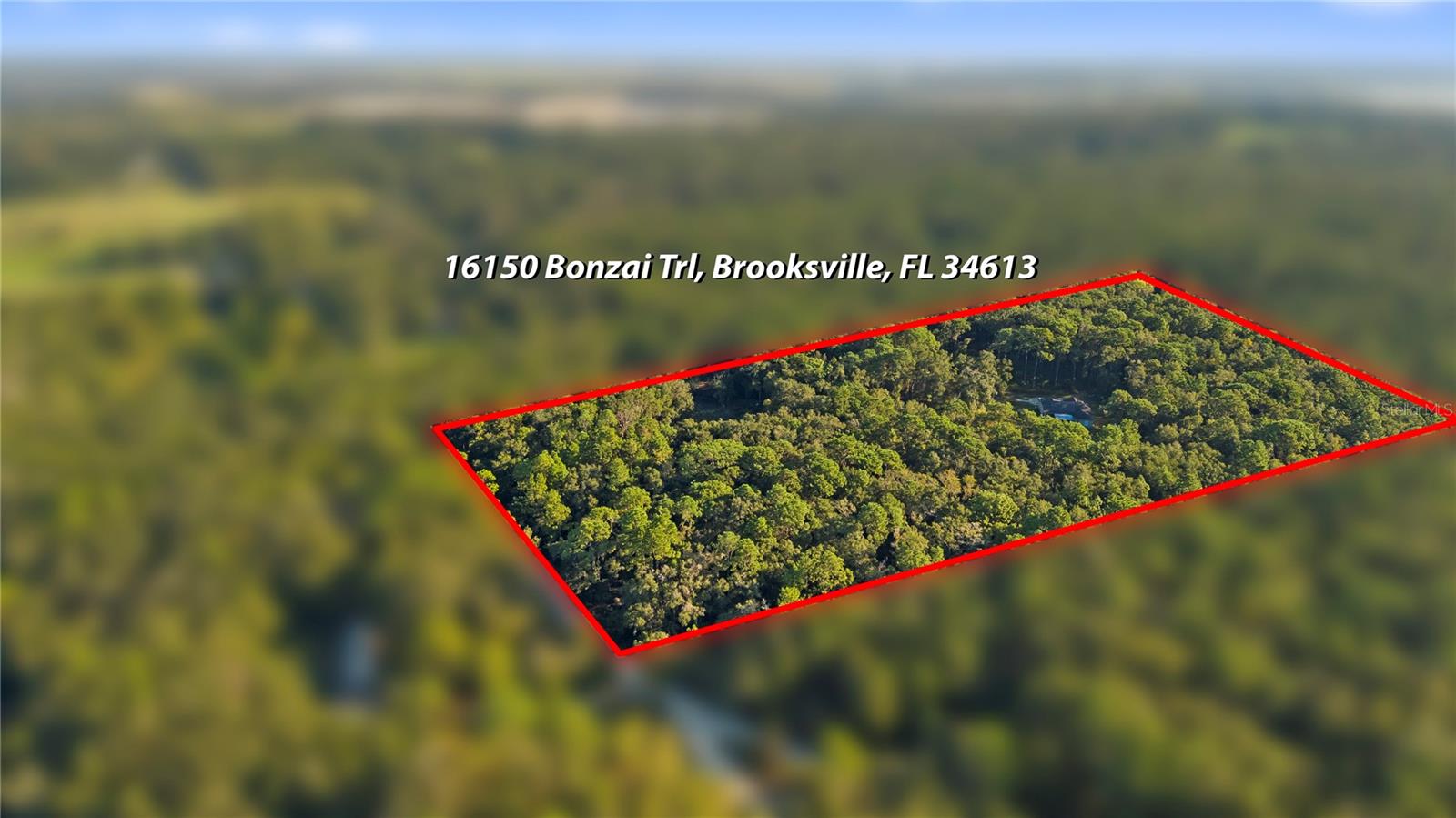 16150 BONZAI TRAIL, Brooksville, FL 34613