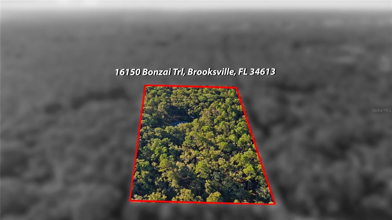 16150 BONZAI TRAIL, Brooksville, FL 34613