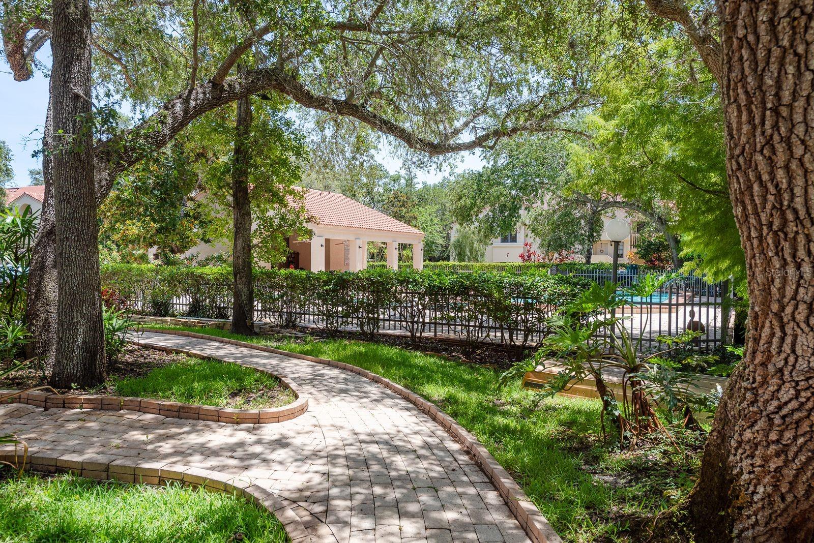 301 LOS PRADOS DRIVE, #301, Safety Harbor, FL 34695