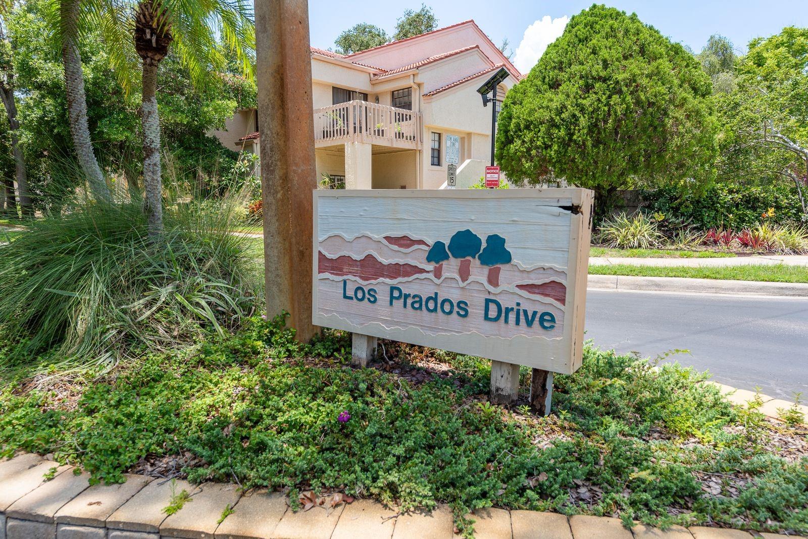 301 LOS PRADOS DRIVE, #301, Safety Harbor, FL 34695