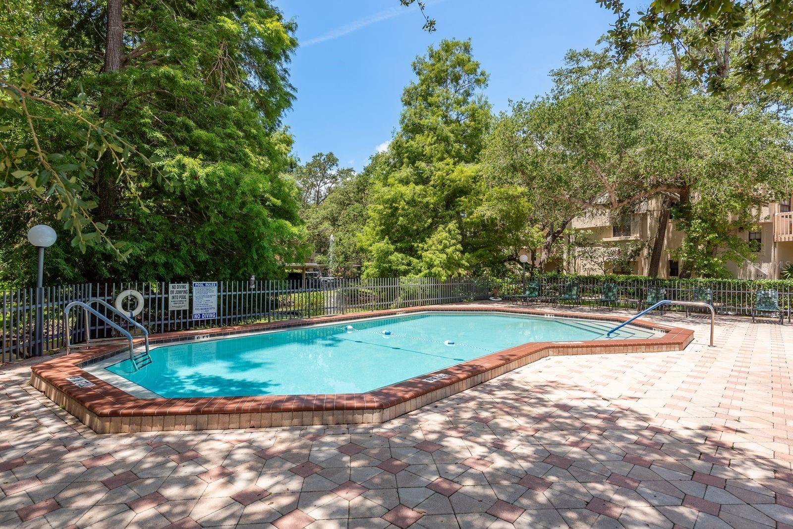 301 LOS PRADOS DRIVE, #301, Safety Harbor, FL 34695