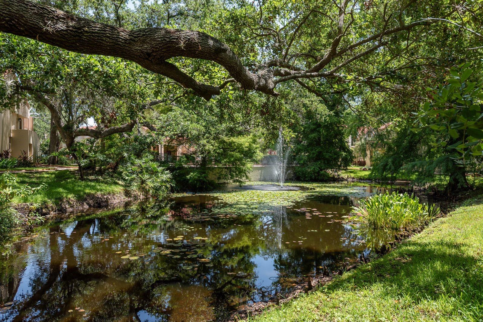 301 LOS PRADOS DRIVE, #301, Safety Harbor, FL 34695