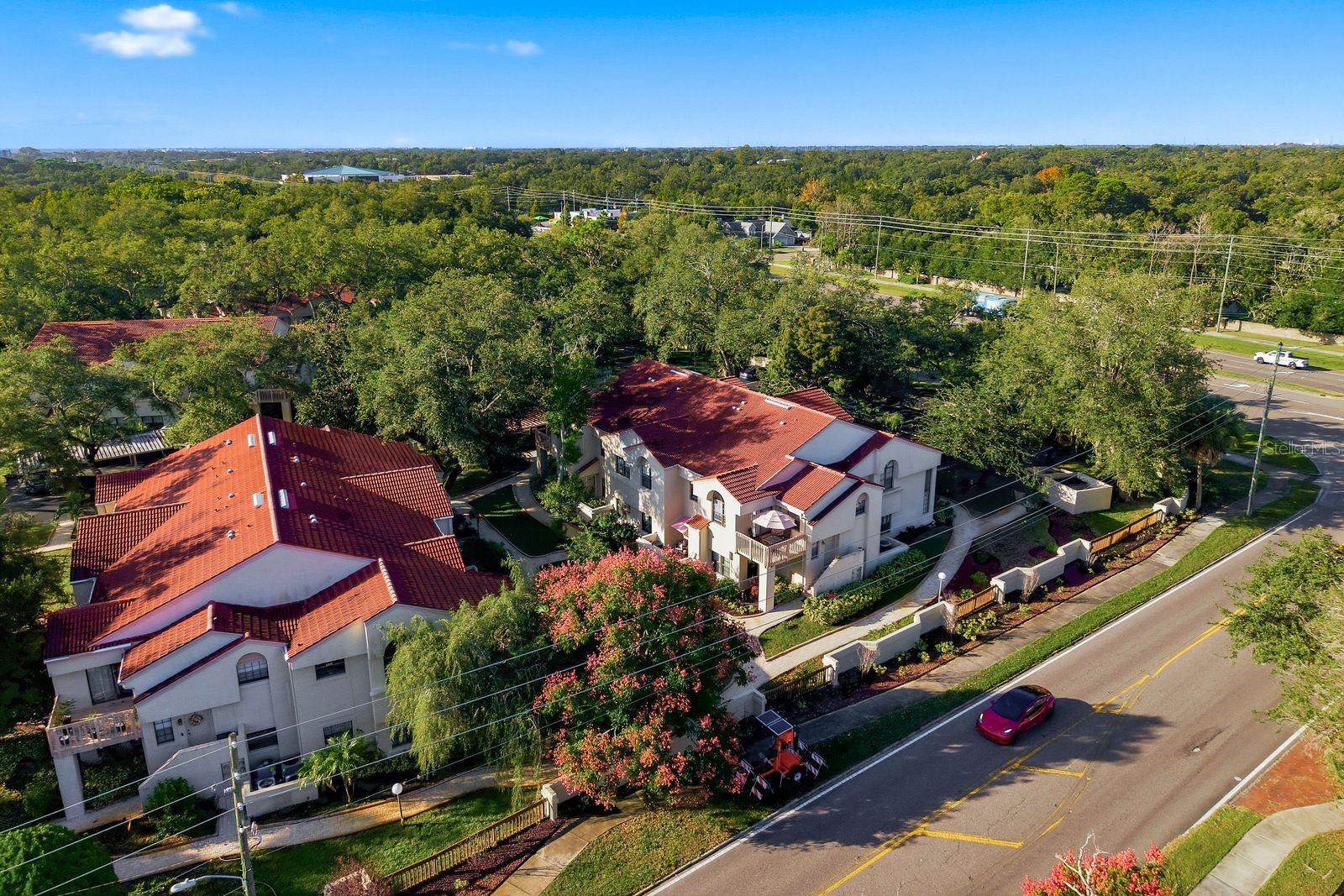 301 LOS PRADOS DRIVE, #301, Safety Harbor, FL 34695