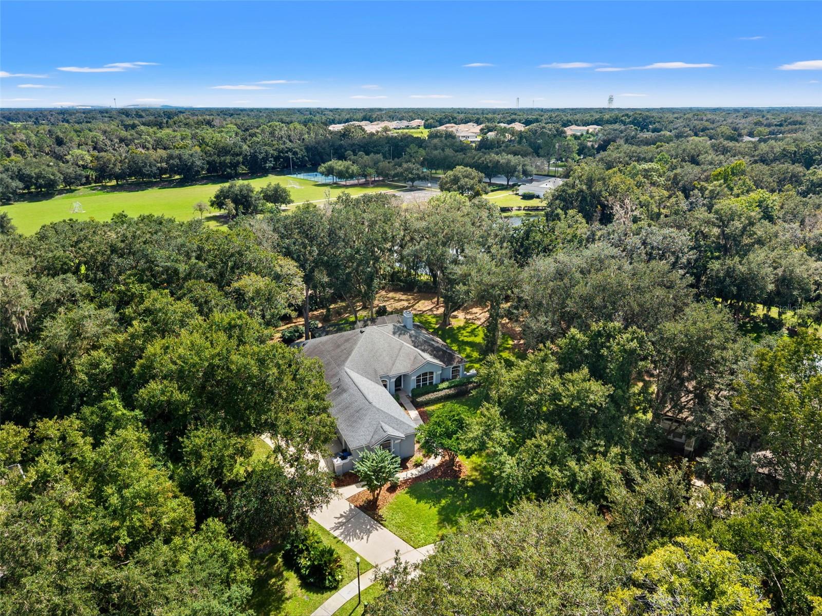 6029 HAMMOCK HILL AVENUE, Lithia, FL 33547
