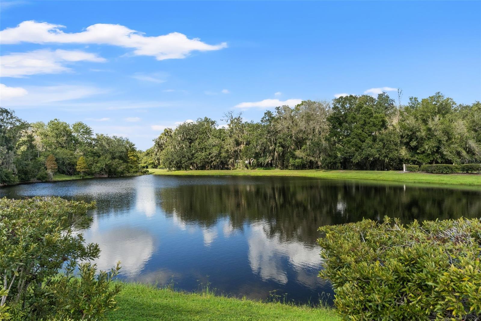 6029 HAMMOCK HILL AVENUE, Lithia, FL 33547
