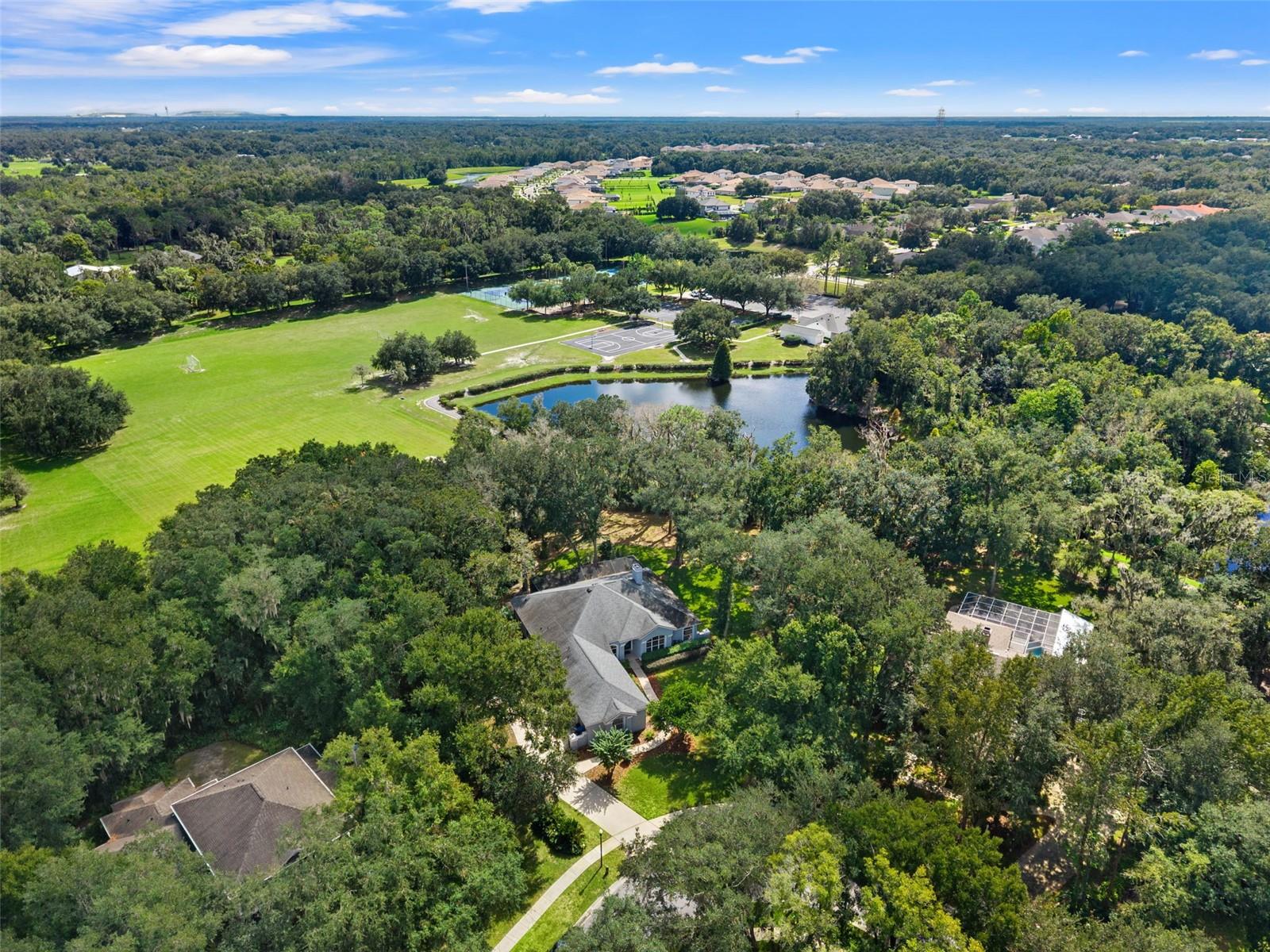 6029 HAMMOCK HILL AVENUE, Lithia, FL 33547