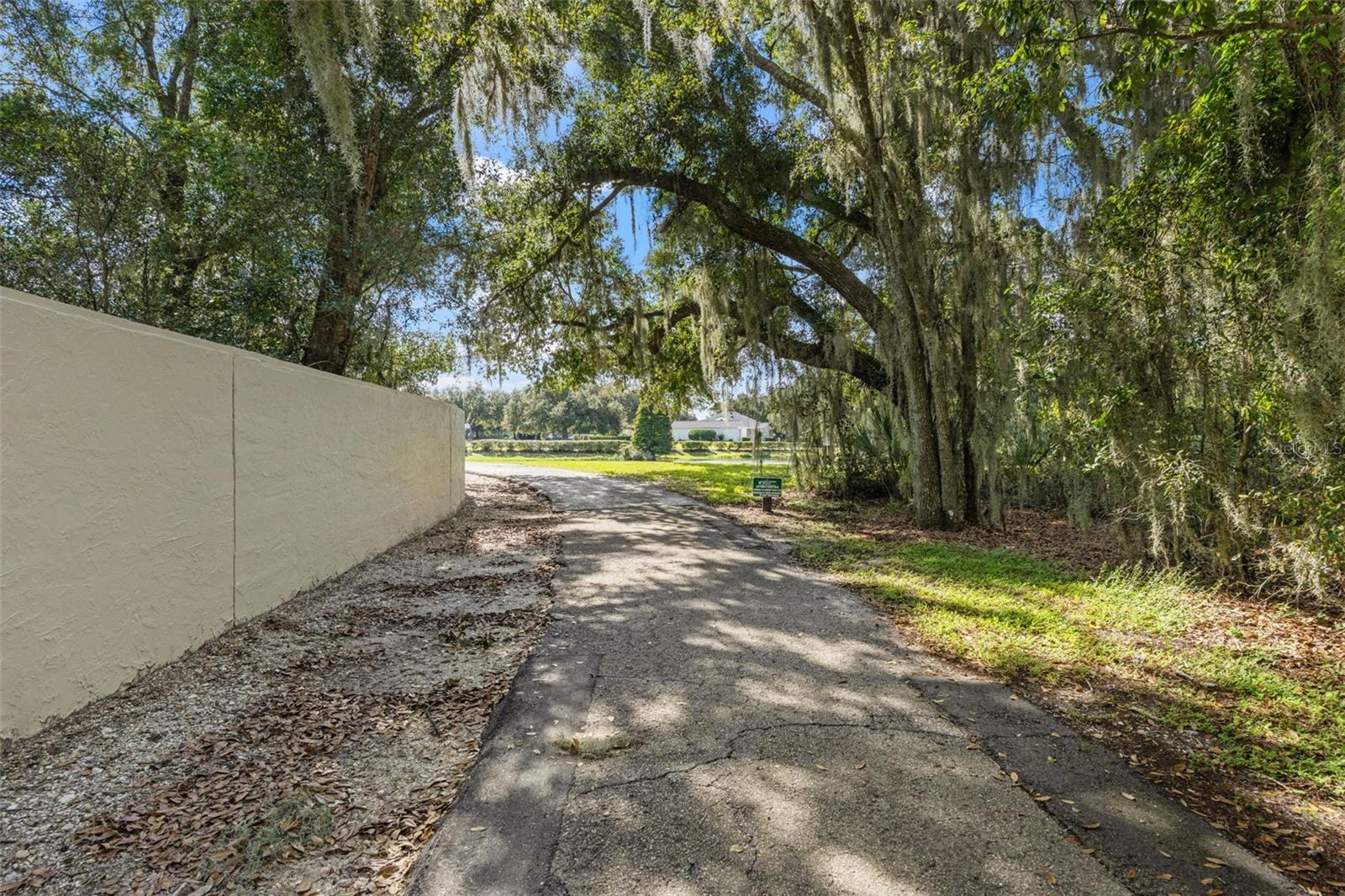 6029 HAMMOCK HILL AVENUE, Lithia, FL 33547