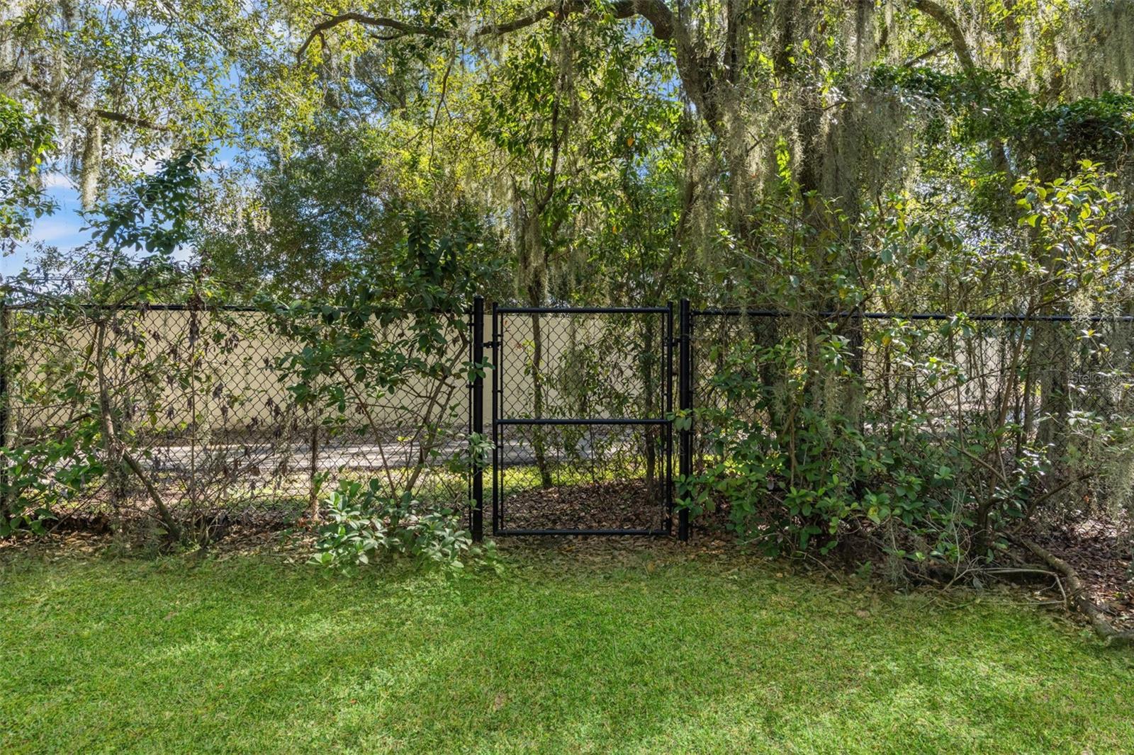 6029 HAMMOCK HILL AVENUE, Lithia, FL 33547