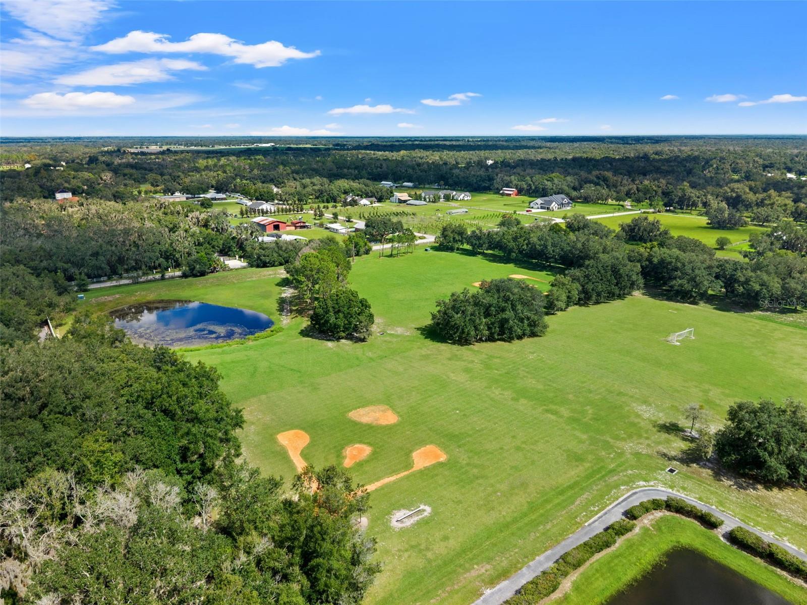 6029 HAMMOCK HILL AVENUE, Lithia, FL 33547
