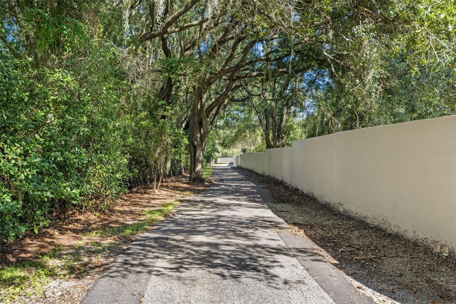 6029 HAMMOCK HILL AVENUE, Lithia, FL 33547