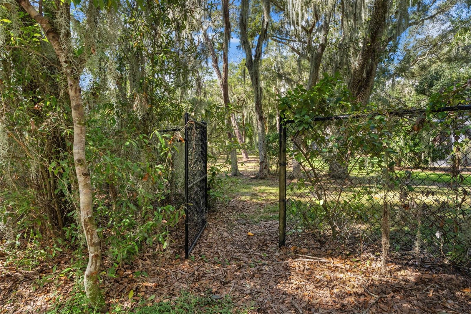 6029 HAMMOCK HILL AVENUE, Lithia, FL 33547