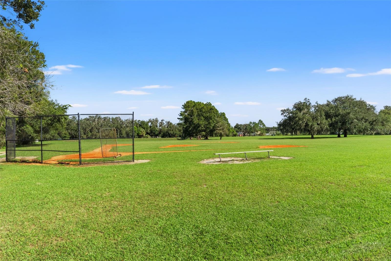 6029 HAMMOCK HILL AVENUE, Lithia, FL 33547