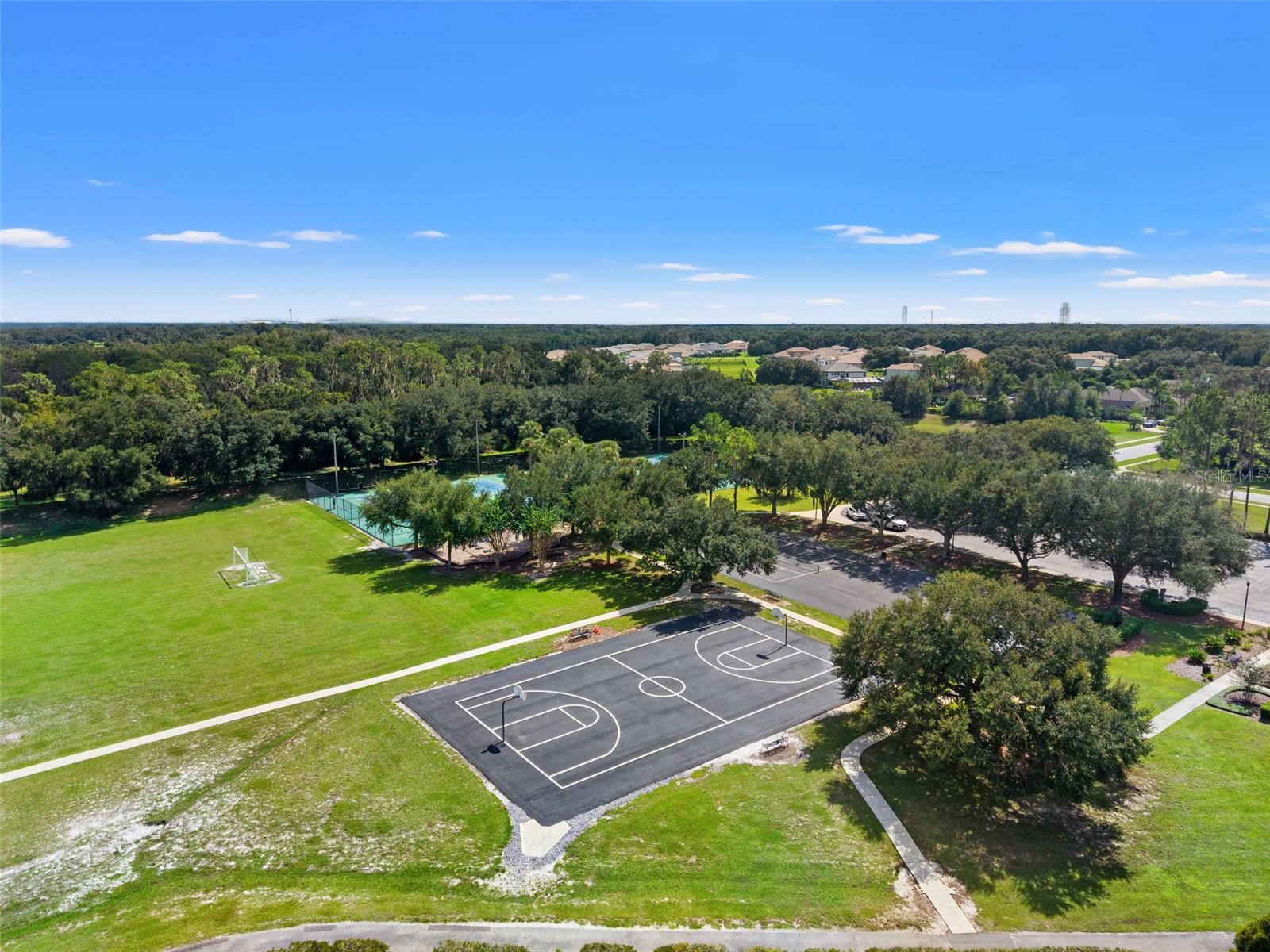 6029 HAMMOCK HILL AVENUE, Lithia, FL 33547