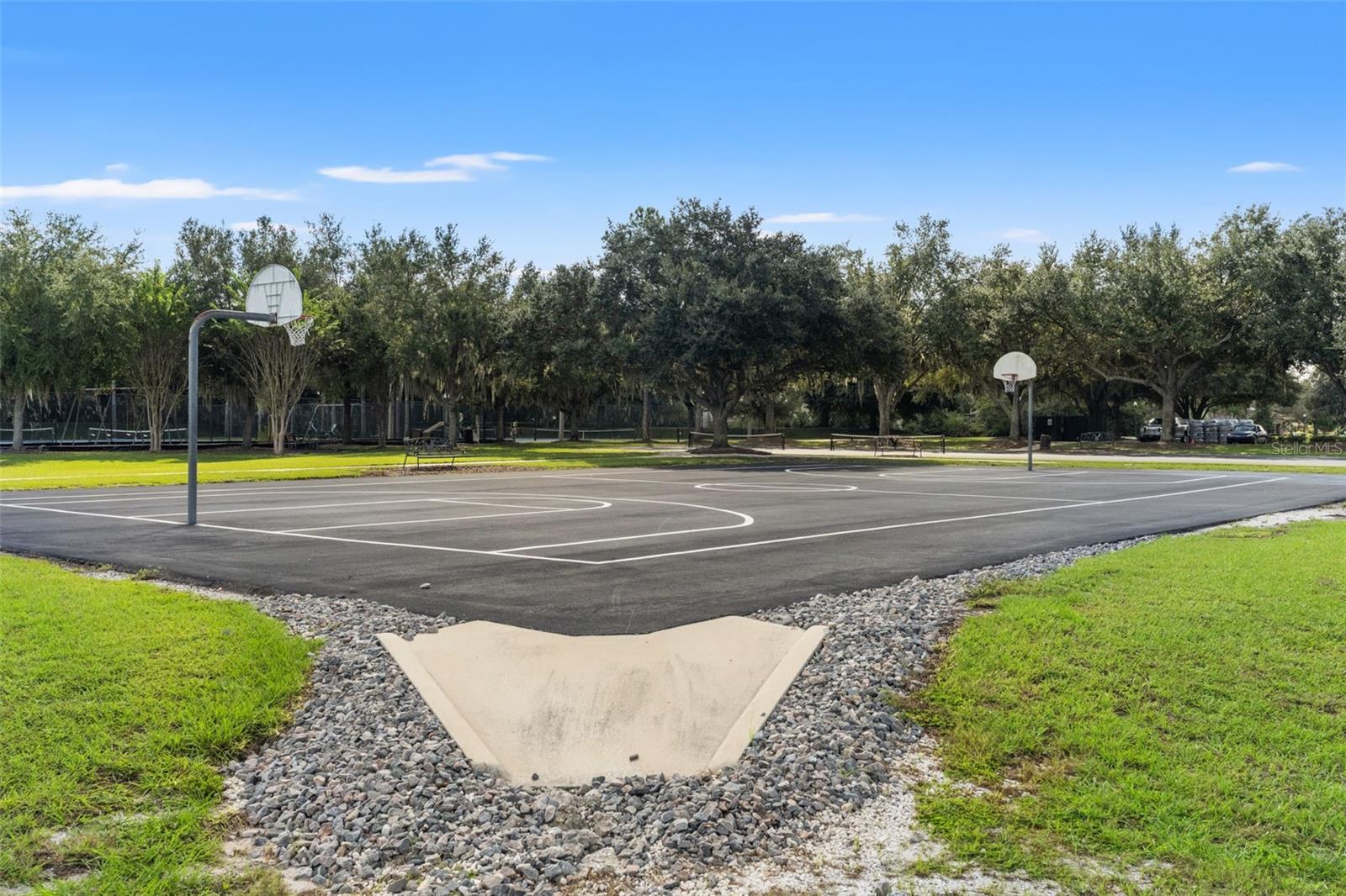 6029 HAMMOCK HILL AVENUE, Lithia, FL 33547
