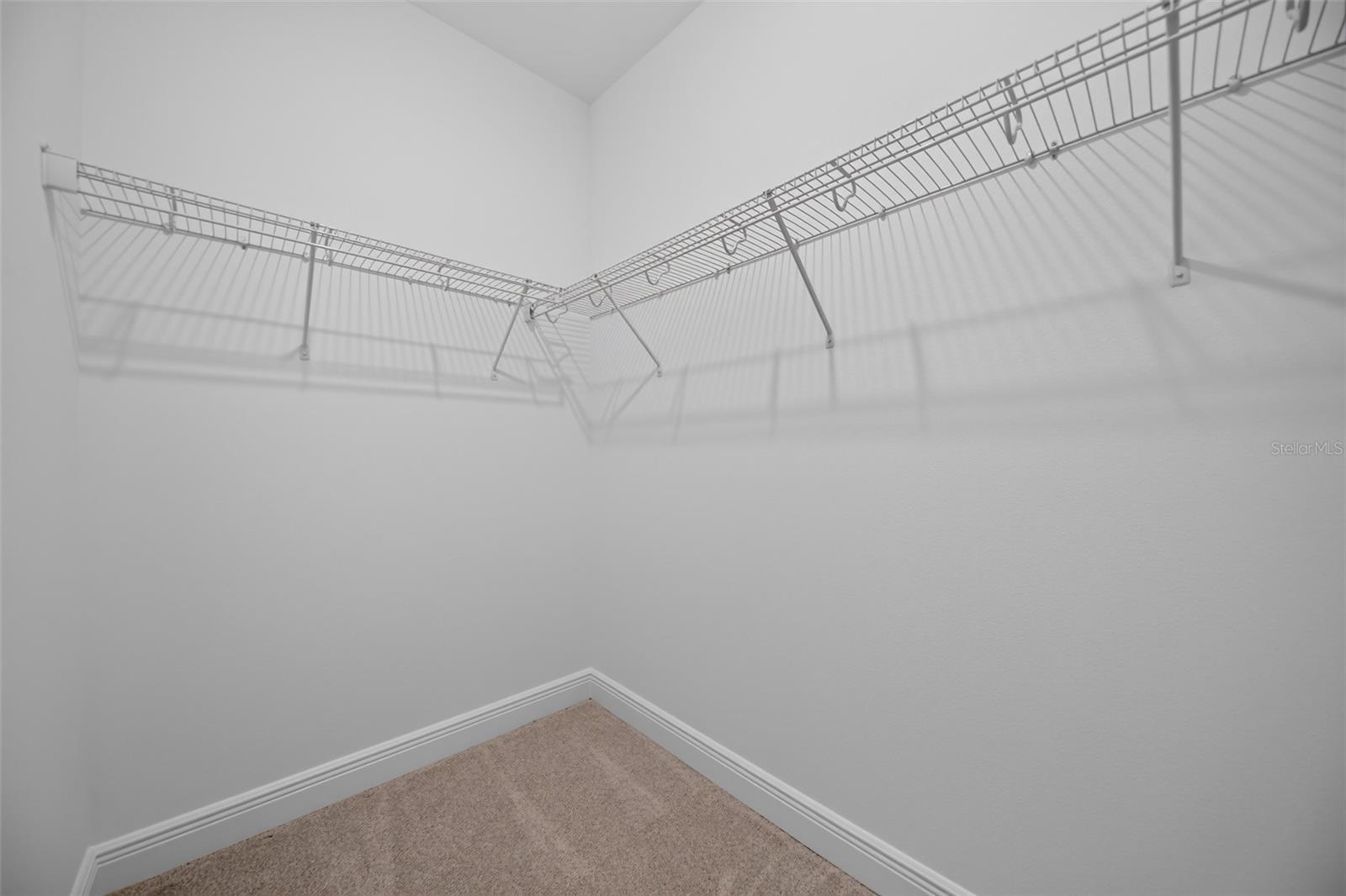 13317 LUSH LIME ALLEY, Windermere, FL 34786